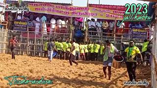 S.S சகா சின்ன மாடு Thondamandurai #ஜல்லிக்கட்டு #jallikattu #2023 #tranding #2023status