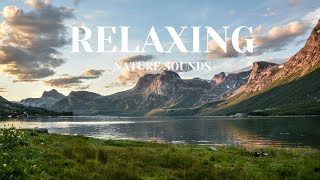 30 min of Nature's Best Relaxing Sounds and Music - Perfect for Your Sleep and Meditation