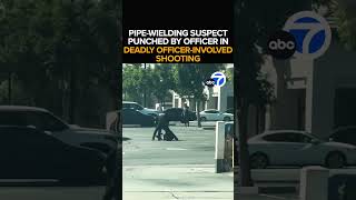 Fontana officer seen punching suspect in deadly confrontation