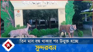 তিন মাস বন্ধ থাকার পর উন্মুক্ত হচ্ছে সুন্দরবন | Rupali Bangladesh