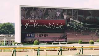 俺たち暇だし朝から競馬🏇