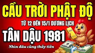 Trời độ Tân Dậu 1981. Tử vi từ 12 đến 15/1 dương 2025, phát tài quá dễ, nhìn đâu cũng thấy tiền!