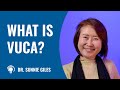 What is VUCA?