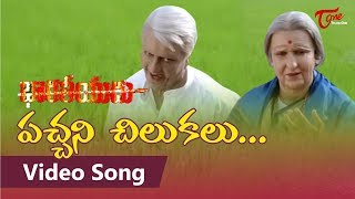 Pachani Chilukalu Video Song | Bharateeyudu Movie | Kamal Haasan | Sukanya | A.R Rahman | TeluguOne