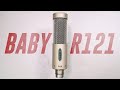 Royer R-10 Ribbon Mic Review / Test (vs. R144, SM7b, M160, KU5a)