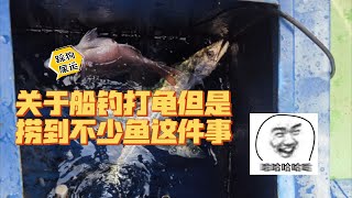 关于船钓打龟但是捞到不少鱼这件事关