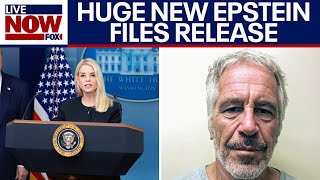 Analysis Massive New Batch Of Epstein Files Released