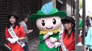 御堂筋 kappo 2012