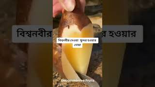 সুন্দর হওয়ার দোয়া আল্লাহুম্মা জাম্মিলহু #ওয়াজ #short_waz