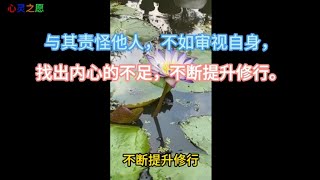 心灵讲故事 - 与其责怪他人，不如审视自身，找出内心的不足，不断提升修行。