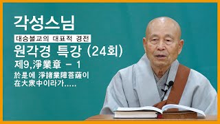 각성스님 - 원각경 특강 (24회). 제9,淨業章 - 1.  於是에 淨諸業障菩薩이 在大衆中이라가........