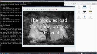 Dynamically loading and linking WebAssembly modules