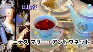 【グルメvlogニナス マリー・アントワネット】日比谷   フランスの歴史ある紅茶専門店で薔薇のお紅茶を飲む🌹