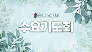 2024년11월 13일 수요기도회 / 민수기 24:1~14 / 발람의 축복 / 최종배위임목사