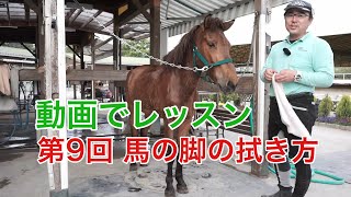 【動画で乗馬レッスン#9】馬の脚の拭き方｜神戸からすぐの乗馬クラブ明石乗馬協会