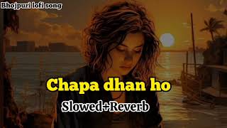 chapa dhan ho - pawan singh new song || chapa dhan ho slowed reverb | chapa dhan ho pawan singh