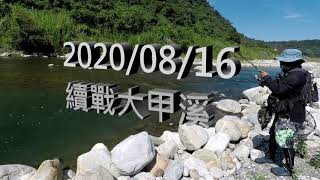 2020/08/16何氏棘魞(捲仔)釣遊記趣---續戰大甲溪