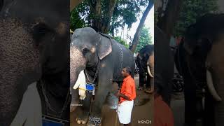 Mavelikara unnikrishnan | Kandiyoor Anayootu | Kandiyoor Premshankar | Bharath Vinod