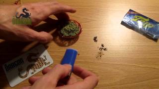 Rolling a Joint with Trip2 Cellulose Papers