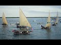 lamu cultural festival 2023 impressions of day 3 donkey race dhow race swimming competition