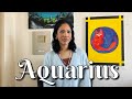 Aquarius ♒️You've got a lot of work to do (aquarius tarot card reading)