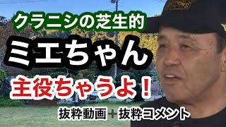 【コメント抜粋】ミエちゃん主役ちゃうよ！のコメント集です！何回見てもホッコリします😊