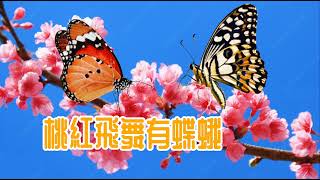 播道會太古城堂  福音粤韻 曲65 頌歌賀新年  福音粤韻班  全班平、子喉對唱