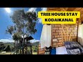 TREE HOUSE STAY - EAGLE WOODS COTTAGE KOOKAL | Best Stay in Kodaikanal | Kodaikanal Resort