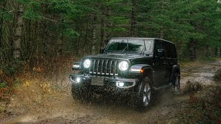 forest adventure by jeep during rainy season #Short