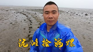 阿烽赶海到泥滩捡海螺，足足捡了一个小时，女儿们有口福了