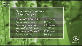 Аэро Флора. Аэропоника. Вертикальная гидропоника. Фабрики растений. Сити-Фермеры. Читай описание