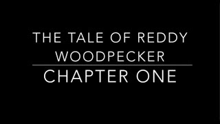 The Tale of Reddy Woodpecker Chapter 1 - Children's Classic Audio Books