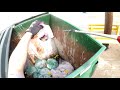 Dumpster Diving 23 (That’s A Big Ass Spring!)
