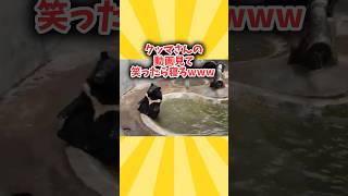 クマさんの動画見て笑ったら寝ろwwwww