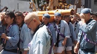 深川神明宮　奉祝　令和御大典　宮神輿渡御　2019/8/17  Fukagawa Shinmeiguu Festival 4