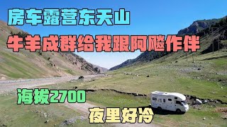 轻卡房车自驾新疆，东天山上绝佳露营地，成群的牛羊在我家后院玩耍【万一有1天】