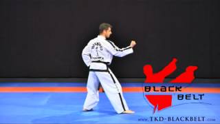 CHON - JI by Jaroslaw Suska - www.tkd-blackbelt.com