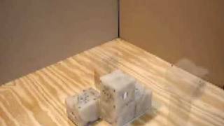 Self-replicating blocks from Cornell University
