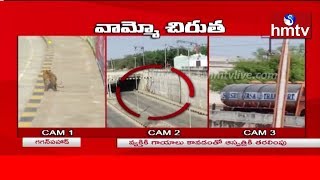 వామ్మో చిరుత | Cheetah at National Highway,Katedan | hmtv