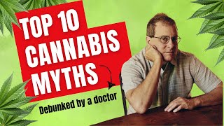 Top 10 Cannabis Myths Debunked By A Harvard Doctor