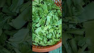 Dưa Cải Chua - Cách Muối Ngon- Giòn - Vàng Nhanh Gọn Lẹ