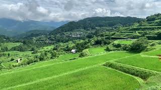 高知県本山町　土佐天空の郷、吉延の棚田