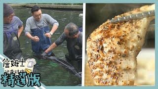 《精選:詹姆士棒的》最脆口的生魚片料理 直擊4萬條巨無霸鱘龍魚秘境