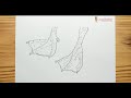 HOW TO DRAWING DUCK FEET