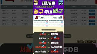 25년1월16일 국내 배구 농구 V리그 KBL 최종분석픽 토토분석 스포츠분석 프로토분석