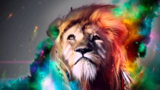 Skrillex & Damian Marley - Make It Bun Dem (MRMZ Remix) [Dimession Release]