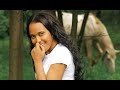 Tolu tarrafa -Maarrabiikee **new**oromo music