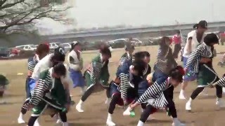 くまがや桜よさこい'16 弾人（だんと） - 弾人 2016