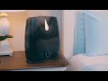 everlasting comfort 6l humidifier