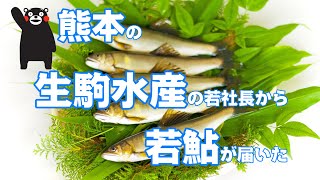 熊本県人吉の生駒水産の若鮎を頂きました！【特選男の料理】